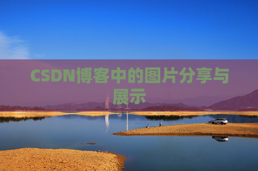 CSDN博客中的图片分享与展示